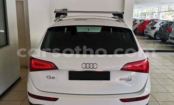 اشتري مستعمل Audi Q5 White سيارة في Hlotse في Leribe اشتري مستعمل Audi Q5 White سيارة في Hlotse في Leribe