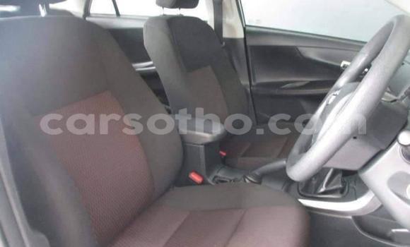Acheter Occasion Voiture Toyota Corolla Gris à Maseru, Maseru Acheter Occasion Voiture Toyota Corolla Gris à Maseru, Maseru