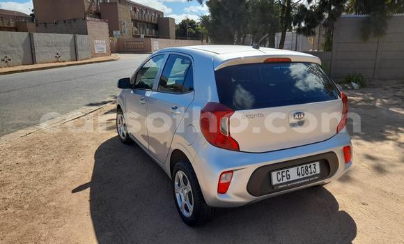 Acheter Occasion Voiture Kia Picanto Gris à Maseru, Maseru Acheter Occasion Voiture Kia Picanto Gris à Maseru, Maseru