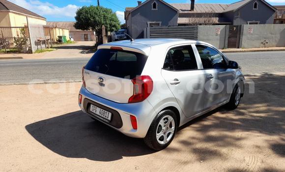 Acheter Occasion Voiture Kia Picanto Gris à Maseru, Maseru Acheter Occasion Voiture Kia Picanto Gris à Maseru, Maseru