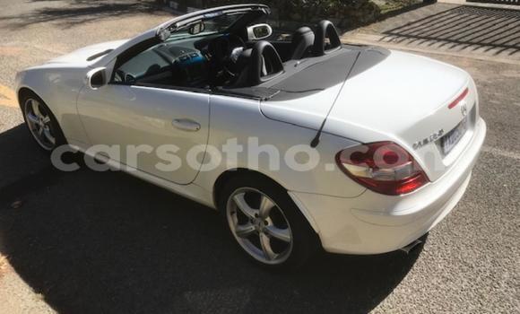 Acheter Occasion Voiture Mercedes-Benz SLK–Class Blanc à Maseru, Maseru Acheter Occasion Voiture Mercedes-Benz SLK–Class Blanc à Maseru, Maseru