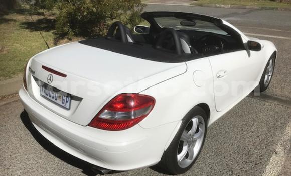 Acheter Occasion Voiture Mercedes-Benz SLK–Class Blanc à Maseru, Maseru Acheter Occasion Voiture Mercedes-Benz SLK–Class Blanc à Maseru, Maseru