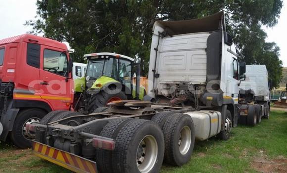 اشتري مستعمل Mercedes‒Benz 2644 White شاحنة في Maseru في Maseru اشتري مستعمل Mercedes‒Benz 2644 White شاحنة في Maseru في Maseru