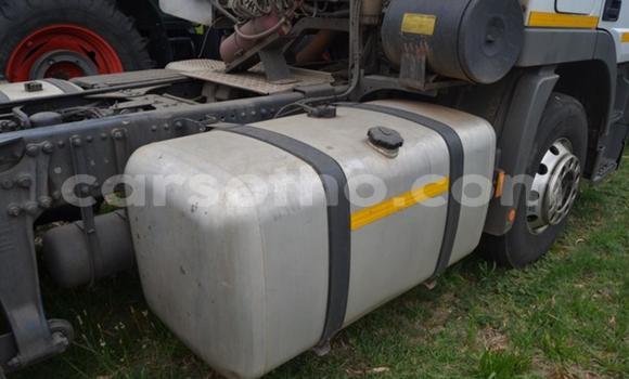 اشتري مستعمل Mercedes‒Benz 2644 White شاحنة في Maseru في Maseru اشتري مستعمل Mercedes‒Benz 2644 White شاحنة في Maseru في Maseru