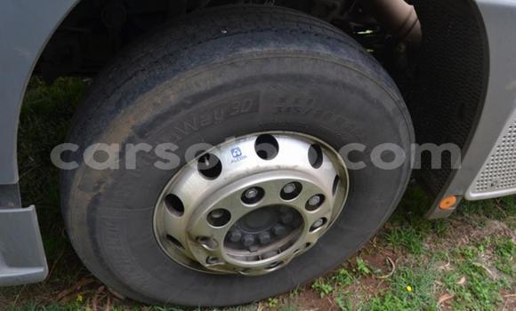 اشتري مستعمل Mercedes‒Benz 2644 White شاحنة في Maseru في Maseru اشتري مستعمل Mercedes‒Benz 2644 White شاحنة في Maseru في Maseru