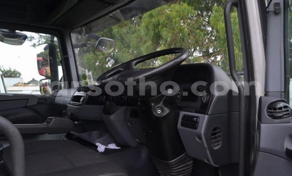 اشتري مستعمل Mercedes‒Benz 2644 White شاحنة في Maseru في Maseru اشتري مستعمل Mercedes‒Benz 2644 White شاحنة في Maseru في Maseru