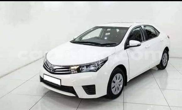 اشتري مستعمل Toyota Corolla White سيارة في Maseru في Maseru اشتري مستعمل Toyota Corolla White سيارة في Maseru في Maseru
