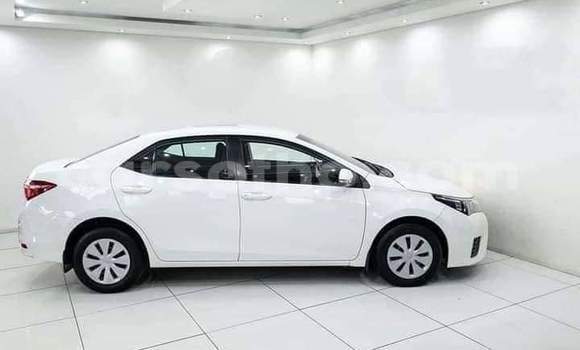 اشتري مستعمل Toyota Corolla White سيارة في Maseru في Maseru اشتري مستعمل Toyota Corolla White سيارة في Maseru في Maseru
