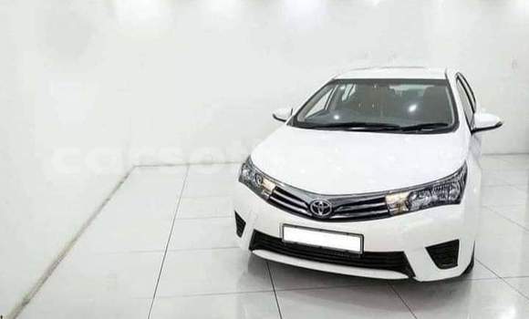 اشتري مستعمل Toyota Corolla White سيارة في Maseru في Maseru اشتري مستعمل Toyota Corolla White سيارة في Maseru في Maseru