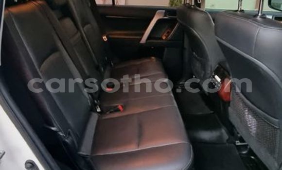 اشتري مستعمل Toyota Prado White سيارة في Maseru في Maseru اشتري مستعمل Toyota Prado White سيارة في Maseru في Maseru