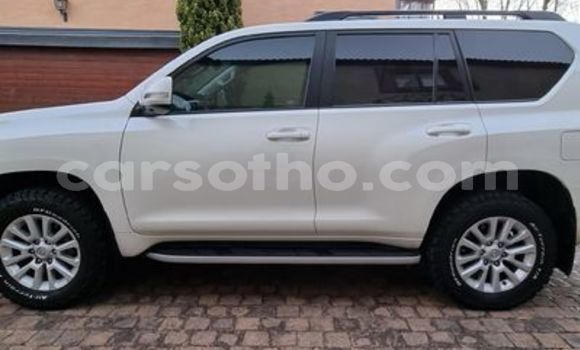 اشتري مستعمل Toyota Prado White سيارة في Maseru في Maseru اشتري مستعمل Toyota Prado White سيارة في Maseru في Maseru
