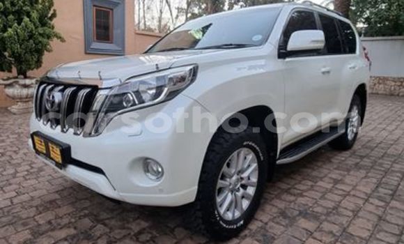 اشتري مستعمل Toyota Prado White سيارة في Maseru في Maseru اشتري مستعمل Toyota Prado White سيارة في Maseru في Maseru