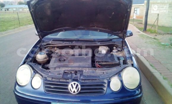 Acheter Occasion Voiture Volkswagen Polo Bleu à Maseru, Maseru Acheter Occasion Voiture Volkswagen Polo Bleu à Maseru, Maseru