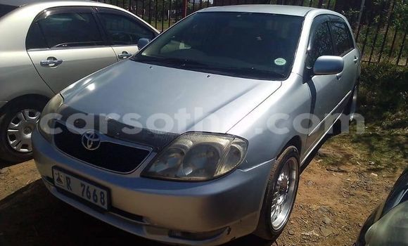Acheter Occasion Voiture Toyota Runx Gris à Maseru, Maseru Acheter Occasion Voiture Toyota Runx Gris à Maseru, Maseru