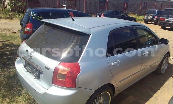 Acheter Occasion Voiture Toyota Runx Gris à Maseru, Maseru Acheter Occasion Voiture Toyota Runx Gris à Maseru, Maseru