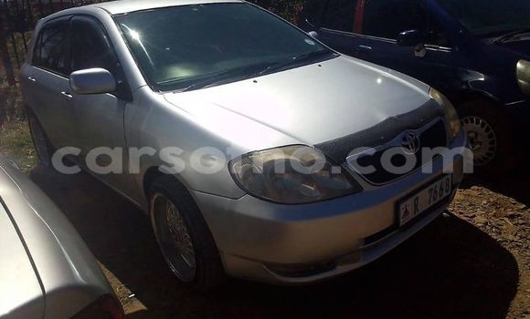 Acheter Occasion Voiture Toyota Runx Gris à Maseru, Maseru Acheter Occasion Voiture Toyota Runx Gris à Maseru, Maseru