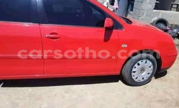 Acheter Occasion Voiture Volkswagen Polo Rouge à Maseru, Maseru Acheter Occasion Voiture Volkswagen Polo Rouge à Maseru, Maseru
