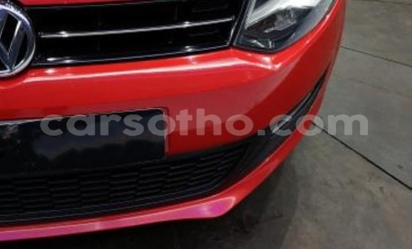 اشتري مستعمل Volkswagen Polo Red سيارة في Hlotse في Leribe اشتري مستعمل Volkswagen Polo Red سيارة في Hlotse في Leribe