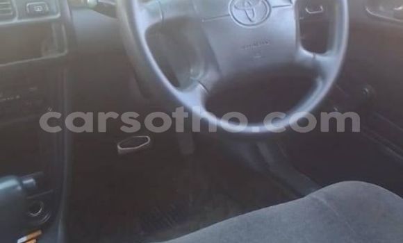 اشتري مستعمل Toyota Corolla White سيارة في Maseru في Maseru اشتري مستعمل Toyota Corolla White سيارة في Maseru في Maseru