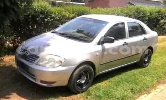 Sayi Na hannu Toyota Corolla Silver Mota in Maseru a Maseru Sayi Na hannu Toyota Corolla Silver Mota in Maseru a Maseru