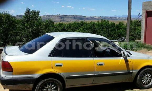 Sayi Na hannu Toyota Corolla Other Mota in Maseru a Maseru Sayi Na hannu Toyota Corolla Other Mota in Maseru a Maseru
