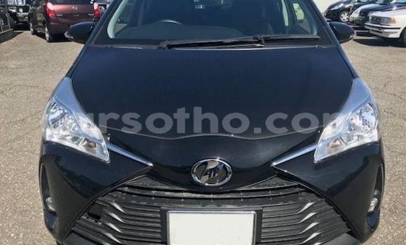 اشتري مستعمل Toyota Vitz Black سيارة في Maseru في Maseru اشتري مستعمل Toyota Vitz Black سيارة في Maseru في Maseru