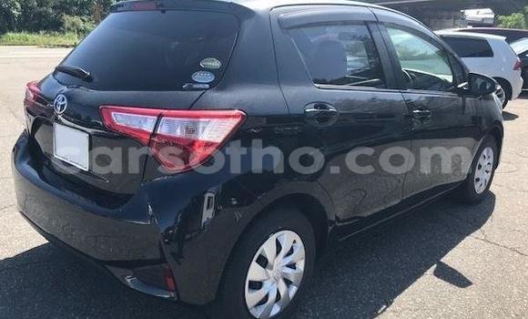 اشتري مستعمل Toyota Vitz Black سيارة في Maseru في Maseru اشتري مستعمل Toyota Vitz Black سيارة في Maseru في Maseru