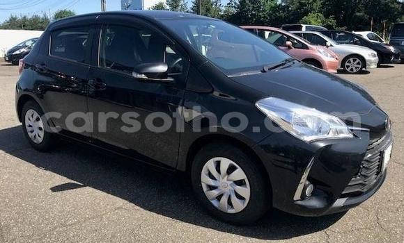اشتري مستعمل Toyota Vitz Black سيارة في Maseru في Maseru اشتري مستعمل Toyota Vitz Black سيارة في Maseru في Maseru