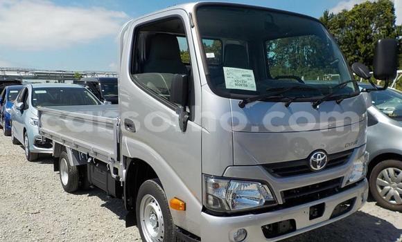 اشتري مستعمل Toyota Dyna Other سيارة في Maseru في Maseru اشتري مستعمل Toyota Dyna Other سيارة في Maseru في Maseru