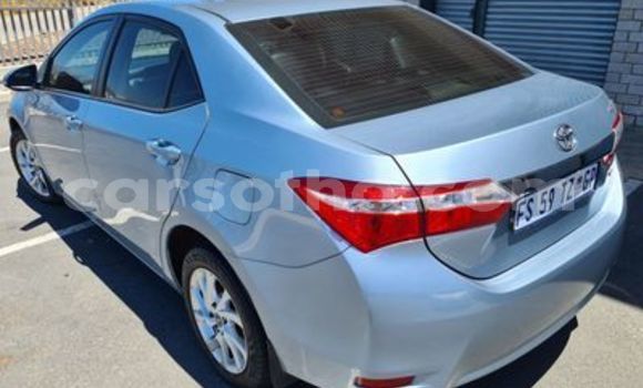 Buy Used Toyota Corolla Blue Car in Maseru in Maseru Buy Used Toyota Corolla Blue Car in Maseru in Maseru