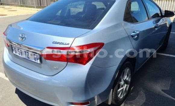 Buy Used Toyota Corolla Blue Car in Maseru in Maseru Buy Used Toyota Corolla Blue Car in Maseru in Maseru