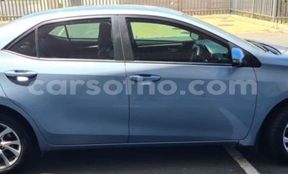 Buy Used Toyota Corolla Blue Car in Maseru in Maseru Buy Used Toyota Corolla Blue Car in Maseru in Maseru