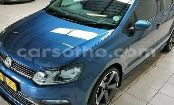 Buy Used Volkswagen Polo Blue Car in Maseru in Maseru Buy Used Volkswagen Polo Blue Car in Maseru in Maseru