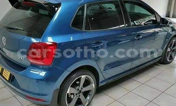 Buy Used Volkswagen Polo Blue Car in Maseru in Maseru Buy Used Volkswagen Polo Blue Car in Maseru in Maseru