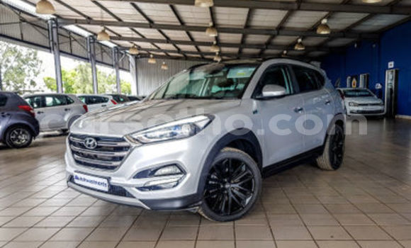 اشتري مستعمل Hyundai Tucson Silver سيارة في Maseru في Maseru اشتري مستعمل Hyundai Tucson Silver سيارة في Maseru في Maseru