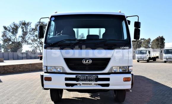 Buy Used Nissan UD White Truck in Maseru in Maseru Buy Used Nissan UD White Truck in Maseru in Maseru