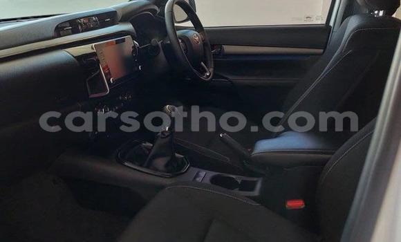 اشتري مستعمل Toyota Hilux White سيارة في Maputsoe في Leribe اشتري مستعمل Toyota Hilux White سيارة في Maputsoe في Leribe