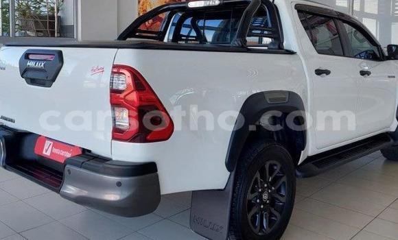 اشتري مستعمل Toyota Hilux White سيارة في Maputsoe في Leribe اشتري مستعمل Toyota Hilux White سيارة في Maputsoe في Leribe