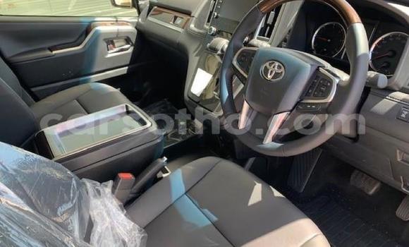 اشتري مستعمل Toyota Commuter White سيارة في Maseru في Maseru اشتري مستعمل Toyota Commuter White سيارة في Maseru في Maseru