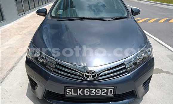Buy Used Toyota Corolla Other Car in Mokhotlong in Berea Buy Used Toyota Corolla Other Car in Mokhotlong in Berea
