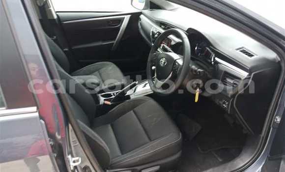Buy Used Toyota Corolla Other Car in Mokhotlong in Berea Buy Used Toyota Corolla Other Car in Mokhotlong in Berea