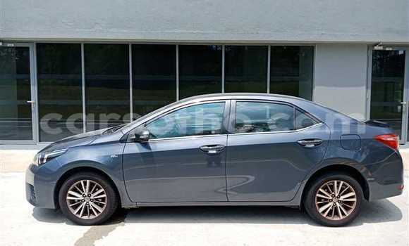 Buy Used Toyota Corolla Other Car in Mokhotlong in Berea Buy Used Toyota Corolla Other Car in Mokhotlong in Berea