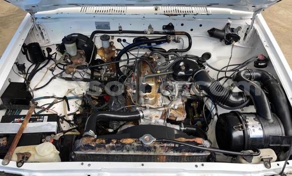 Sayi Na hannu Toyota Hilux White Mota in Thaba–Tseka a Mafeteng Sayi Na hannu Toyota Hilux White Mota in Thaba–Tseka a Mafeteng