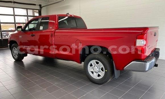 اشتري مستعمل Toyota Tundra Red سيارة في Butha Buthe في Butha-Buthe اشتري مستعمل Toyota Tundra Red سيارة في Butha Buthe في Butha-Buthe