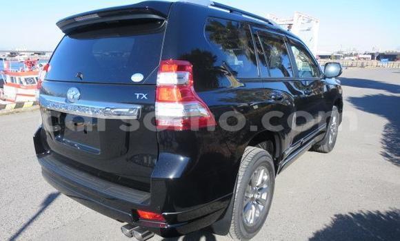 اشتري Imported Toyota Land Cruiser Prado Black سيارة في Butha Buthe في Butha-Buthe اشتري Imported Toyota Land Cruiser Prado Black سيارة في Butha Buthe في Butha-Buthe