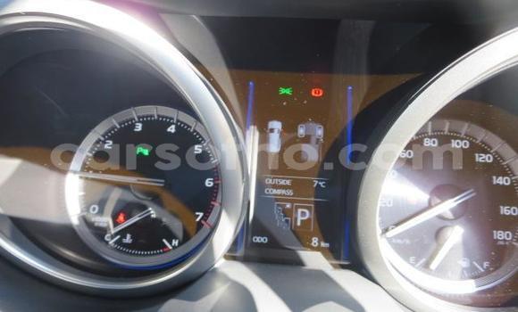 اشتري Imported Toyota Land Cruiser Prado Black سيارة في Butha Buthe في Butha-Buthe اشتري Imported Toyota Land Cruiser Prado Black سيارة في Butha Buthe في Butha-Buthe
