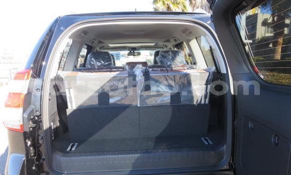اشتري Imported Toyota Land Cruiser Prado Black سيارة في Butha Buthe في Butha-Buthe اشتري Imported Toyota Land Cruiser Prado Black سيارة في Butha Buthe في Butha-Buthe