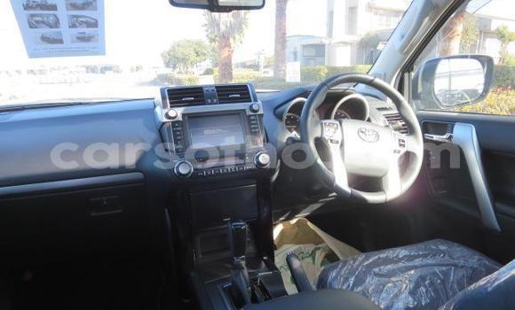 اشتري Imported Toyota Land Cruiser Prado Black سيارة في Butha Buthe في Butha-Buthe اشتري Imported Toyota Land Cruiser Prado Black سيارة في Butha Buthe في Butha-Buthe