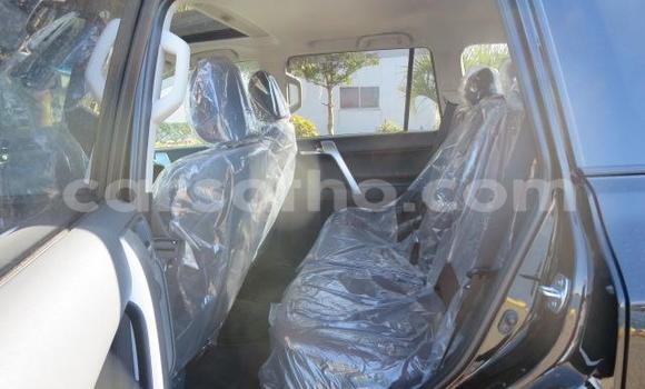 اشتري Imported Toyota Land Cruiser Prado Black سيارة في Butha Buthe في Butha-Buthe اشتري Imported Toyota Land Cruiser Prado Black سيارة في Butha Buthe في Butha-Buthe