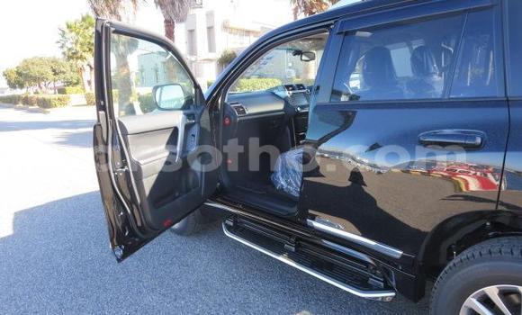 اشتري Imported Toyota Land Cruiser Prado Black سيارة في Butha Buthe في Butha-Buthe اشتري Imported Toyota Land Cruiser Prado Black سيارة في Butha Buthe في Butha-Buthe